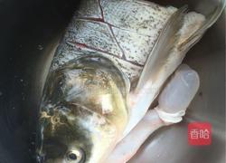 香鲜鱼头豆腐汤的做法图解1