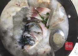 香鲜鱼头豆腐汤的做法图解6