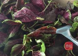 蒜泥苋菜的做法图解4