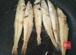 煎沙尖鱼的做法图解4