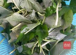 清炒地瓜叶的做法图解2