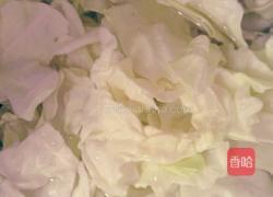 耗油圆白菜的做法图解1