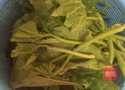 小炒南瓜苗的做法图解2