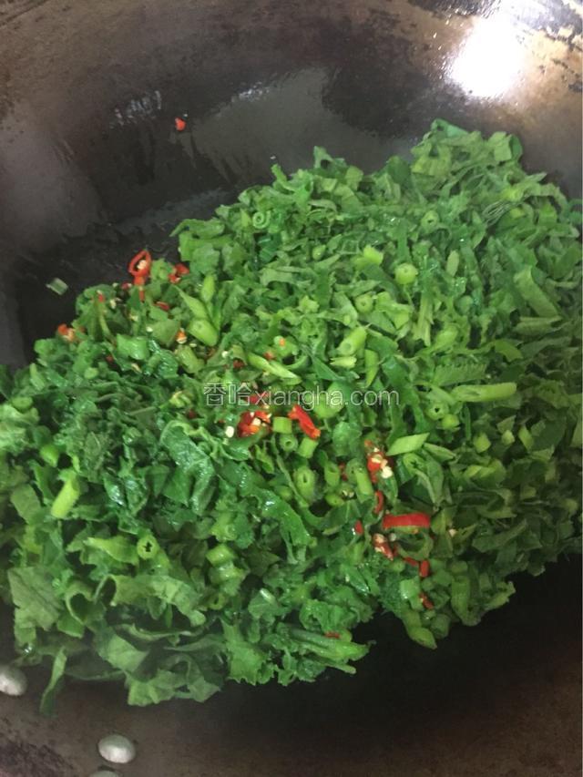 锅内热油，一起下入南瓜苗和指天椒