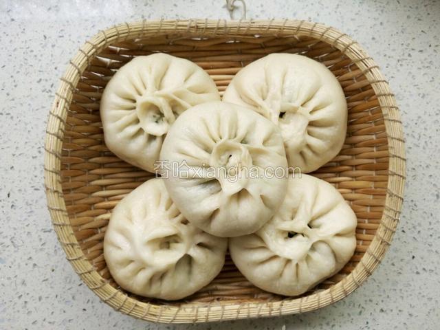 茴香肉包子