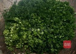 茴香肉包子的做法图解10