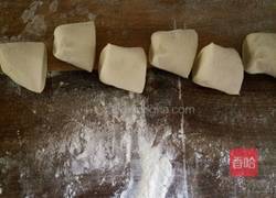 茴香肉包子的做法图解16