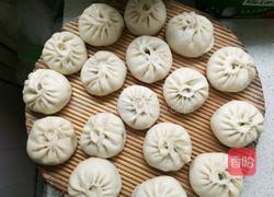 茴香肉包子的做法图解24