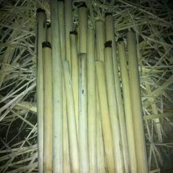 竹筒饭的做法[图]