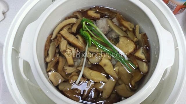 将焯过水的排骨和松茸一起放入炖锅中，加入适量的水，水不要过多，没过排骨松茸一点就可以了，加入两根葱结，加入一勺盐,少许醋。