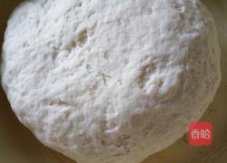 锅贴的做法图解4