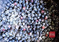 蓝莓果酱的做法图解3