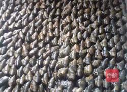 板栗绿豆沙肉粽。板栗蛋黄绿豆沙肉粽的做法图解7