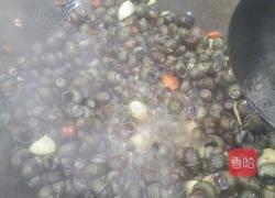 红烧螺丝的做法图解2