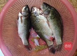 水煮小鲫鱼的做法图解1