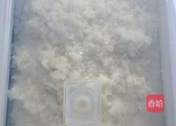 甜酒酿的做法图解6