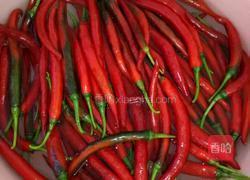 自制剁辣椒的做法图解1