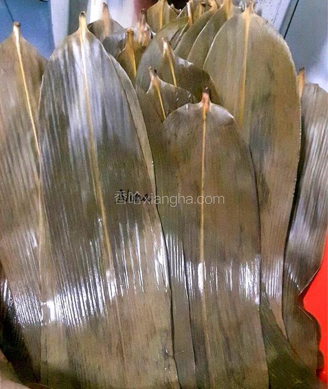 先把粽叶用滚水煮软，然后清洗干净，简单修剪一下，沥干水分待用。