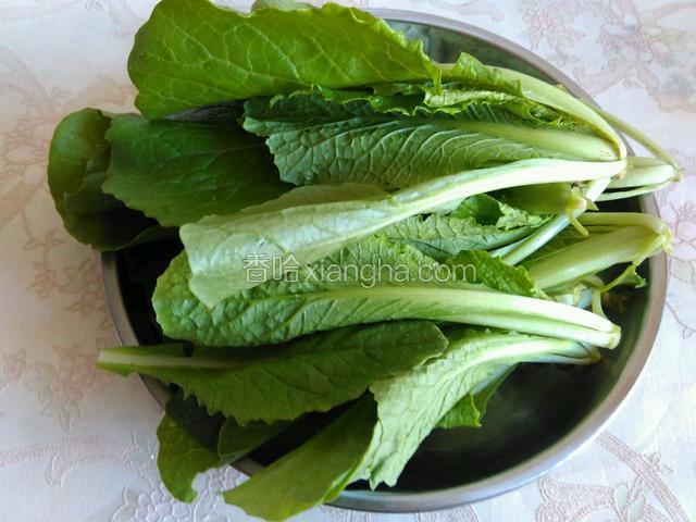 小白菜洗干净控水