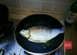 红烧武昌鱼的做法图解3