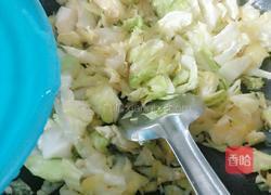 卷心菜炖粉条的做法图解5