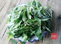 蒜蓉菠菜的做法图解3