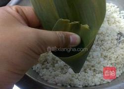 糯米红枣粽子的做法图解6