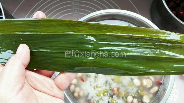 两张苇叶错开重叠一起