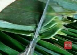 咸蛋黄粽子的做法图解2