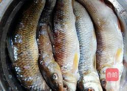 酱烧野鱼的做法图解1