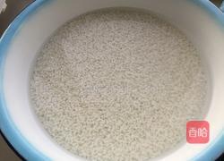 蜜枣红豆粽子的做法图解1