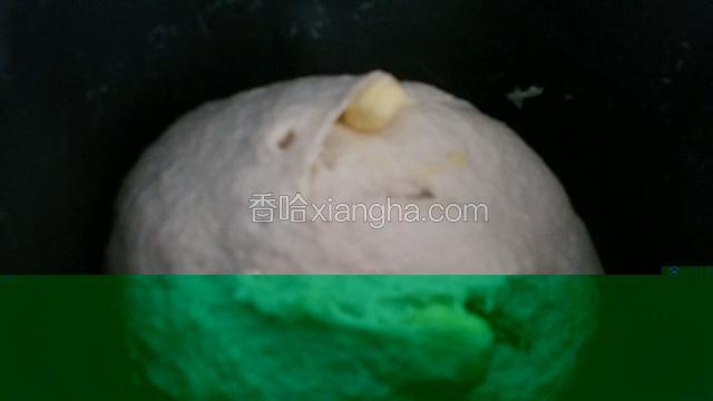 揉面10分钟左右加入切成小块的25克黄油