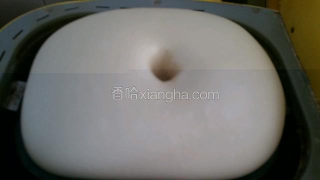 揉面停止后，从新启动发面团程序，面团揉二个程序即可出膜，面团放至二倍大时取出