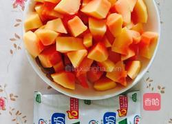 红枣木瓜炖牛奶的做法图解3