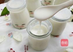 电饭煲自制酸奶的做法图解11
