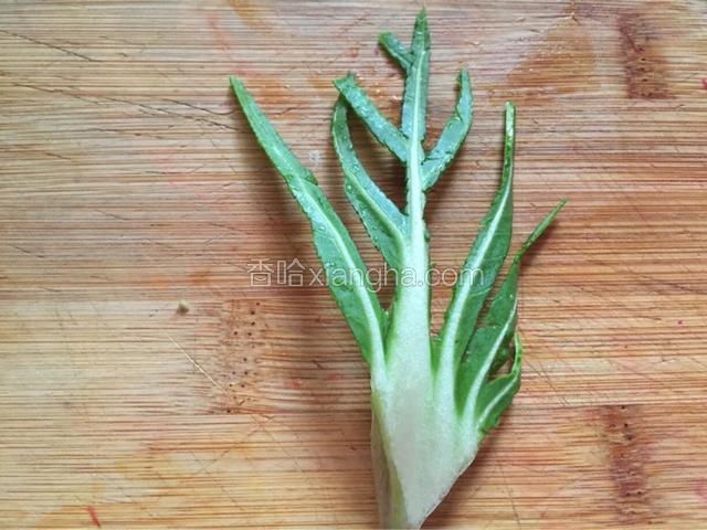油菜叶子沿着叶脉剪出水草状

