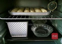 醇奶排包（中种法）的做法图解9