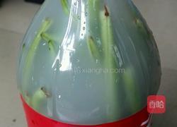 自制酸豆角的做法图解3