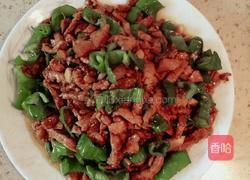 辣椒炒肉丝(简单的美味)的做法图解6