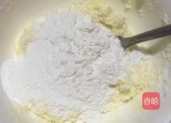 黄金椰丝球的做法图解9