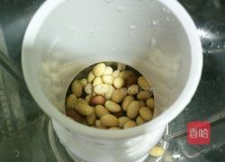 燕麦花生豆浆(搅拌机版)的做法图解2