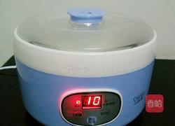 自制奶粉酸奶的做法图解6