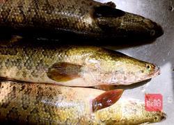 干煸黑鱼片的做法图解1