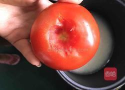 一个番茄饭的做法图解2