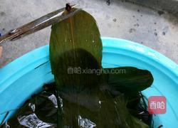 桂圆红枣葡萄干三角粽的做法图解2