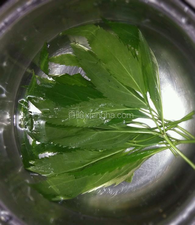 烧水的时间把伤力草处理一下，只留嫩尖，洗净备用