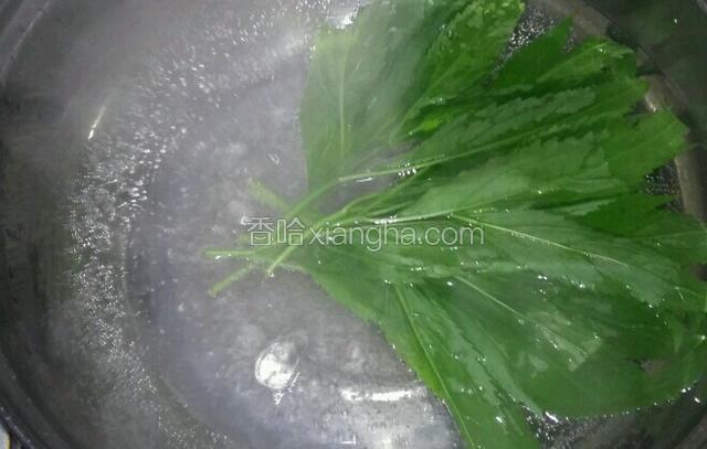 水烧开加入伤力草煮三——五分钟