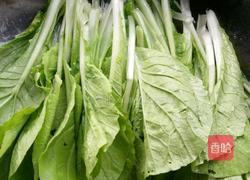 素炒小白菜的做法图解3