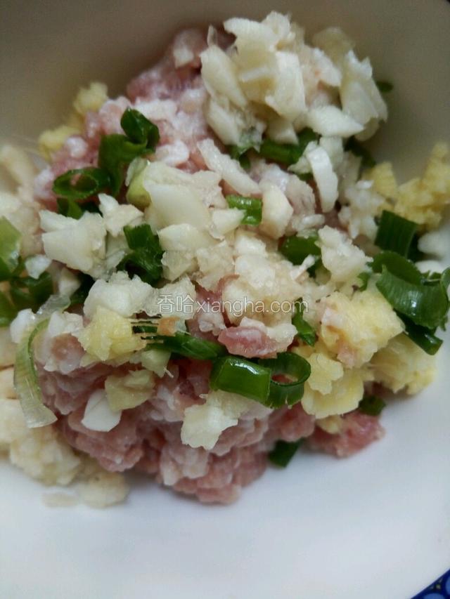 把三分肥七分瘦的后腿肉绞成肉馅，加蒜坨，姜末，葱末，加生抽，嫩肉粉，适量盐，搅拌均匀腌十分钟。