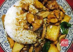 自制黄焖鸡的做法图解9